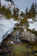 Winter High Tatras Water