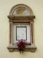 Window Old