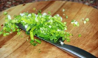 fresh chopped onions