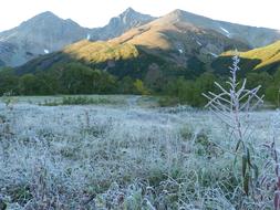 The First Frost Early Autumn