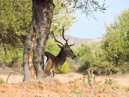 Rhodes Nature Living