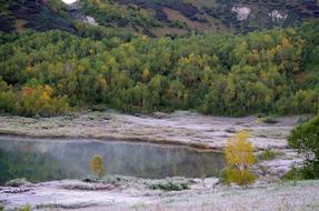 The First Frost Early Autumn