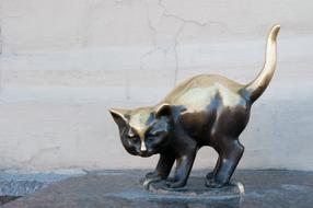 Animals Mammals Nature