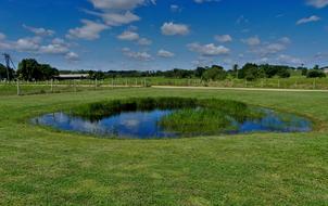 Pond Landscape Grass