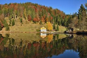 Autumn Mood Nature Golden
