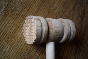 meat hammer