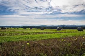 Field Straw Landscape