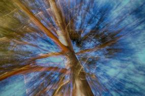 Nature Pattern Abstract