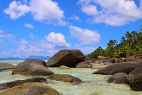 Tropical Beach Seychelles
