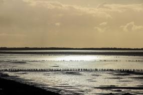Wadden Sea Denmark Water