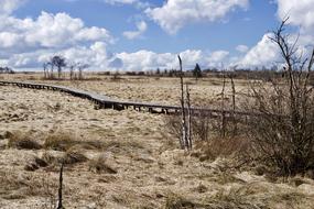 High Venn Nature Landscape