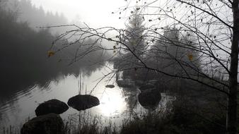 Fog Autumn Landscape