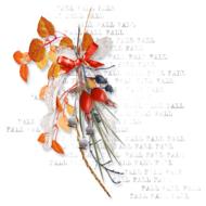 autumn cluster nature leaf branch