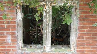 old window frames of an empty abandoned building