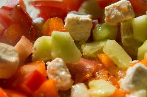 vegetables and cheese