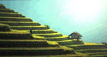 country yard farm nature