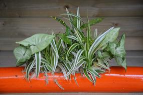 Green Leaves Decoration Pot