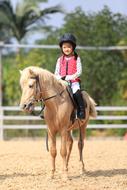 Girl rider on a pony on a sunny day