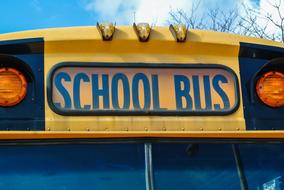 blue text on School Bus