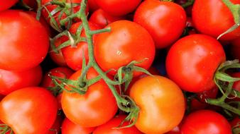 ripe tasty tomatoes
