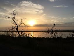 Sunset Nature