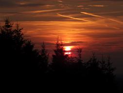 Sunset Mood