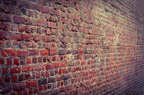 brick Model Wall Wallpaper