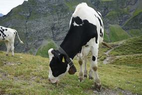 Hiking Mountains Switzerland