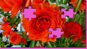 Flower Garden Floral