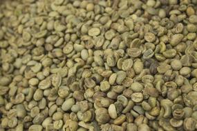 refined coffee beans
