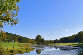 Pond Water Landscape