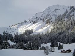 Wintry Mountain Switzerland