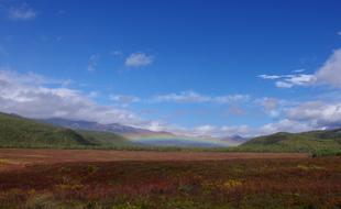 Autumn Rainbow Tundra