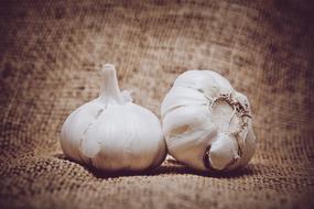 white garlic fruits on wooden background