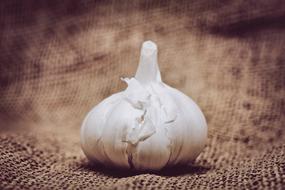 white garlic one