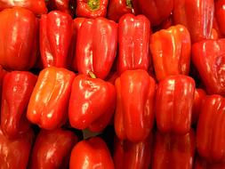 red ripe peppers