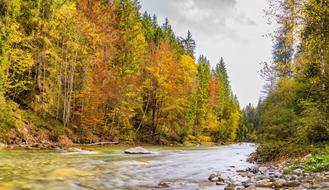 Ammer River Autumn
