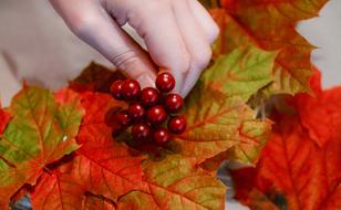 Autumn Leaves and berries