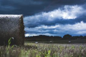 Hay Field Agriculture Straw