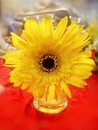 Sunflower Flower Pot