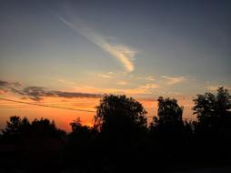 In The Morning Sunrise Nature