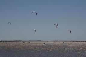 Sailing River