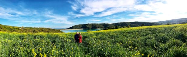 Nature Panoramic Landscape