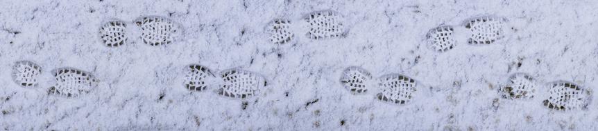 Snow Footprints Traces
