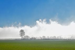 Landscape Fog Nature