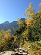 Tatry Mountains Autumn The High