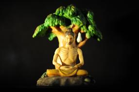 Buddha Enlightenment Bodhi Tree