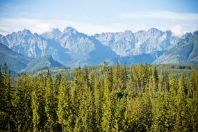 Tatry Glade Starvation View