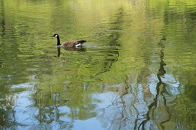 The Body Of Water Nature Lake