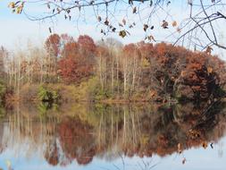 Autumn Landscape Lake